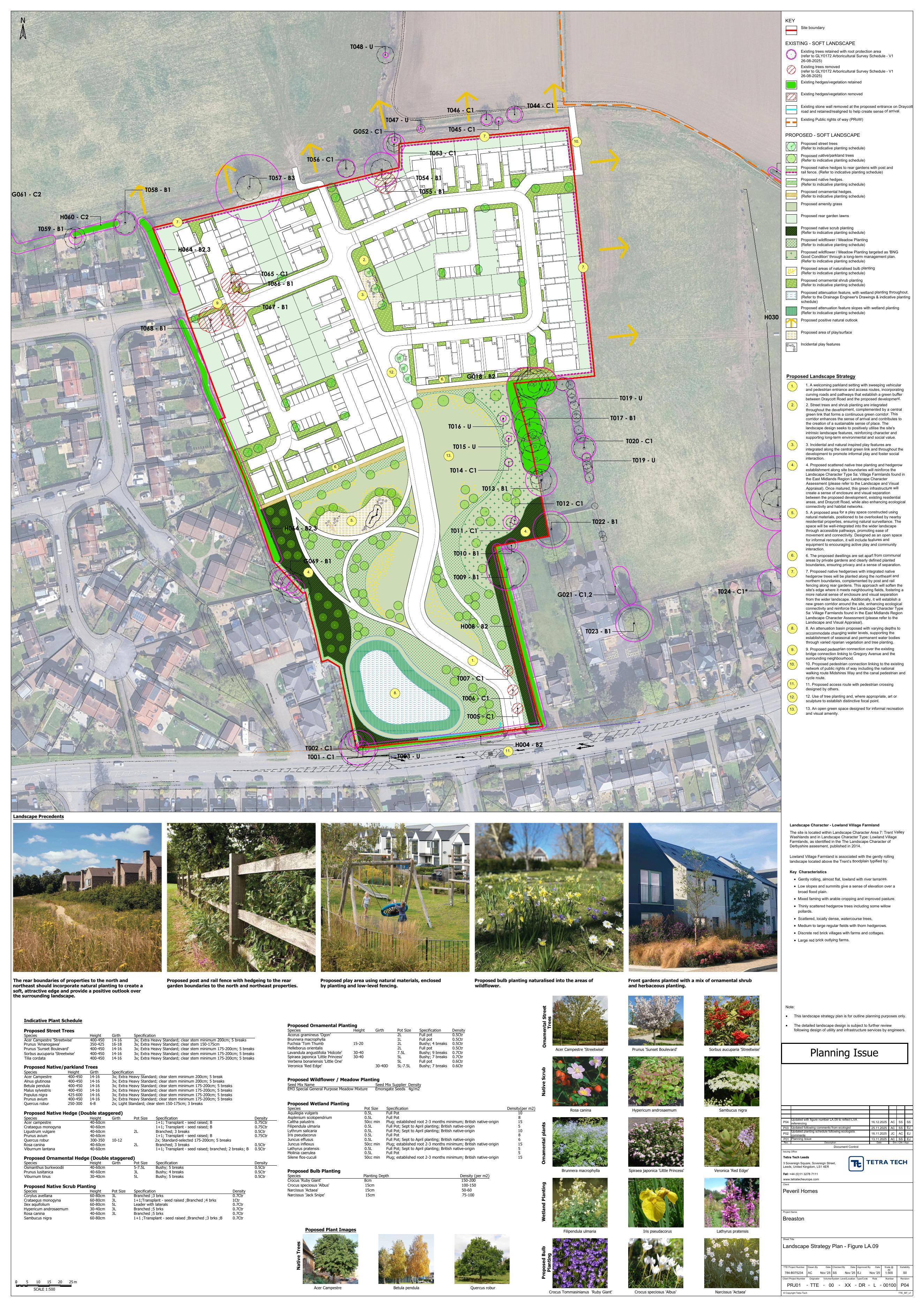 Landscape strategy plan showing planting and the country park.